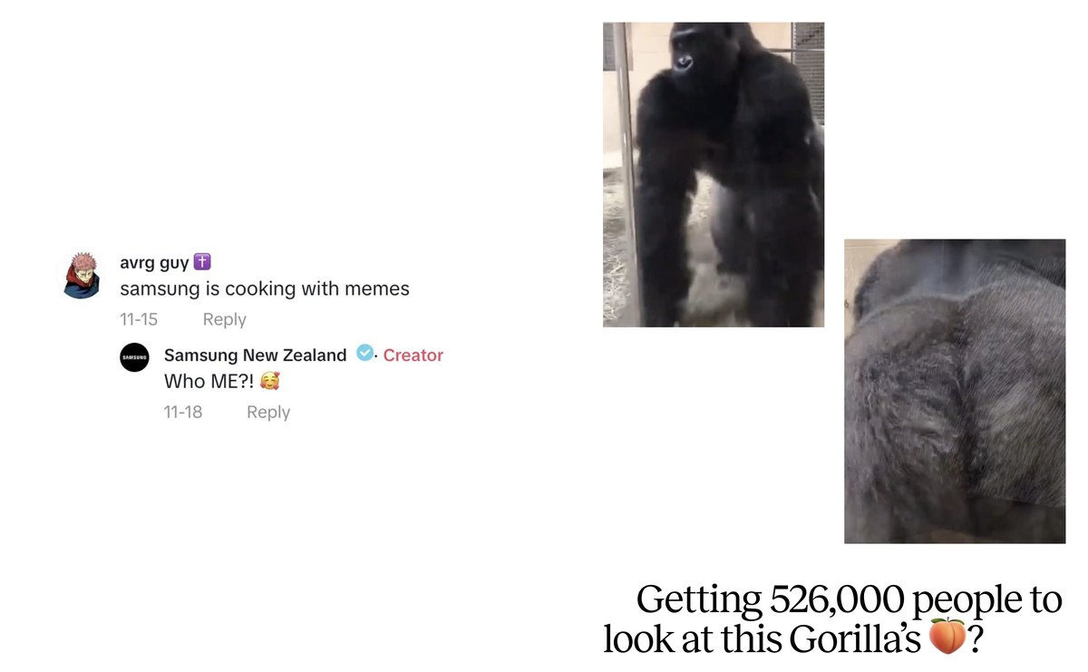 Slaysung case board, Samsung New Zealand replying in the comments, and the gorilla post